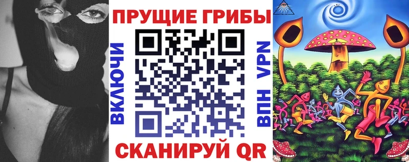 Псилоцибиновые грибы Cubensis  Озёрск 